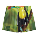 Keel-Billed Toucan Print Mesh Shorts