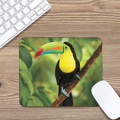 Keel-Billed Toucan Print Mouse Pad