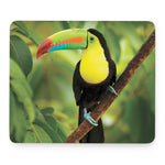 Keel-Billed Toucan Print Mouse Pad