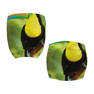 Keel-Billed Toucan Print Office Chair Cover