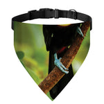 Keel-Billed Toucan Print Over The Collar Dog Bandana