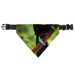 Keel-Billed Toucan Print Over The Collar Dog Bandana