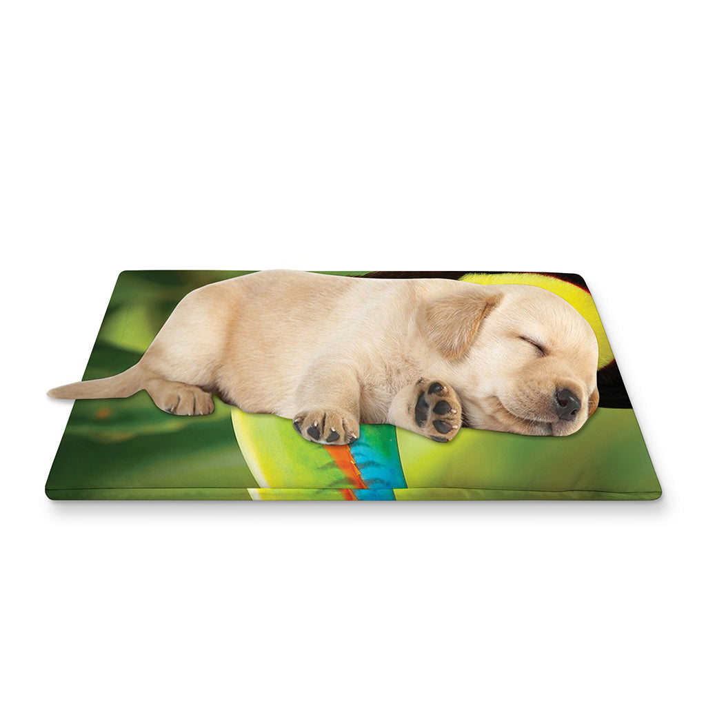 Keel-Billed Toucan Print Pet Cooling Mat Cover