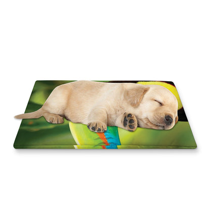Keel-Billed Toucan Print Pet Cooling Mat Cover