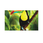 Keel-Billed Toucan Print Polyester Flag