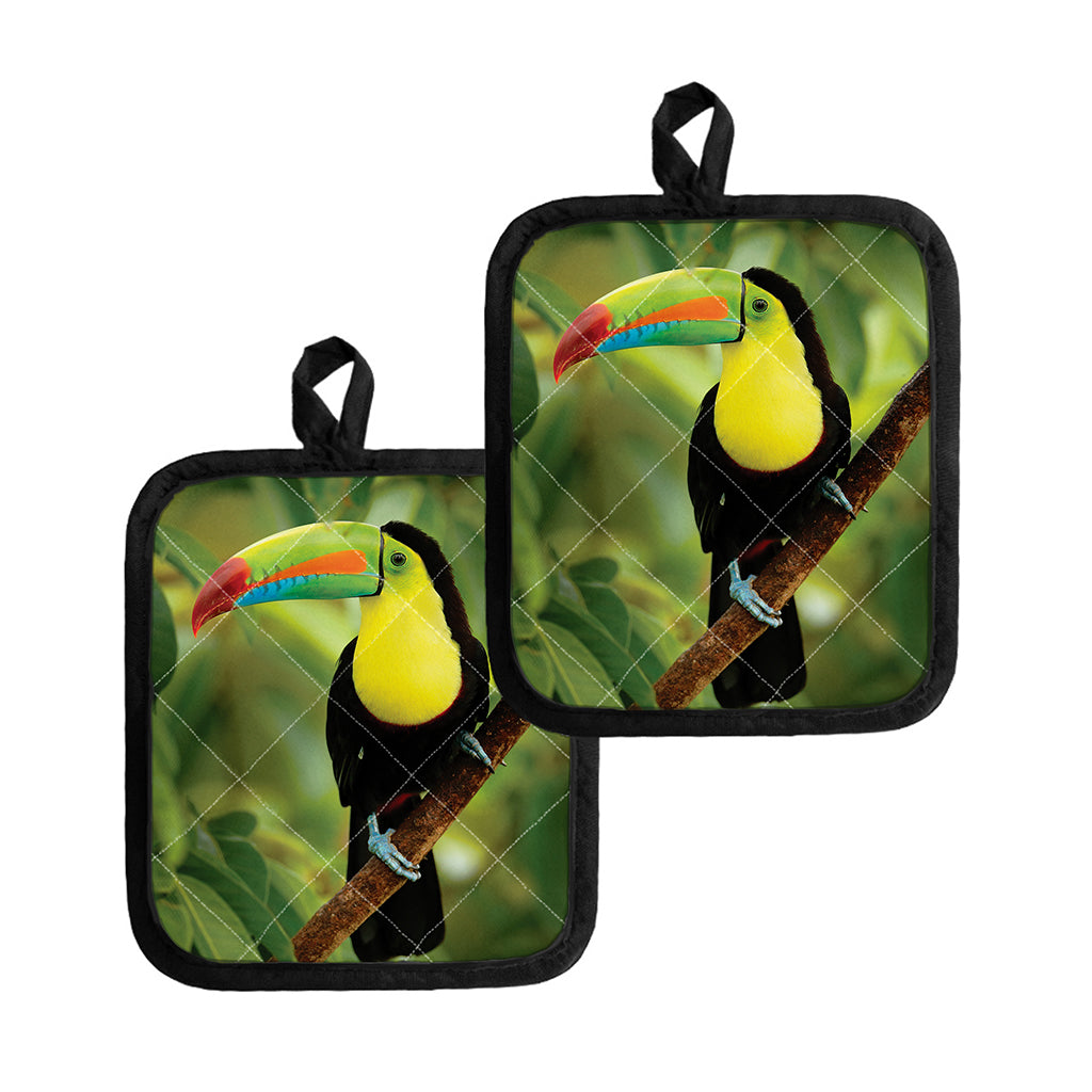 Keel-Billed Toucan Print Pot Holders
