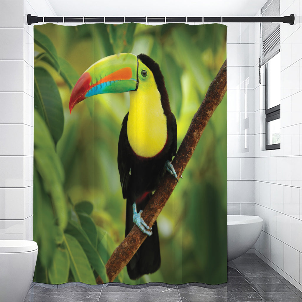 Keel-Billed Toucan Print Premium Shower Curtain