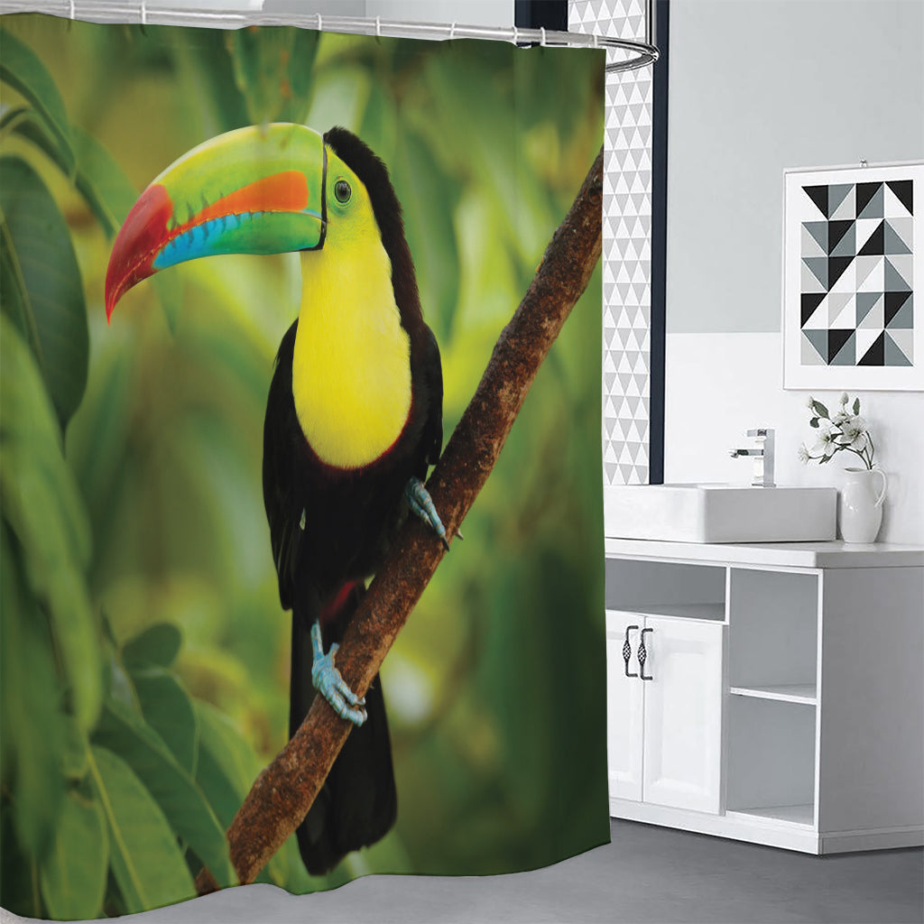 Keel-Billed Toucan Print Premium Shower Curtain