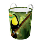 Keel-Billed Toucan Print Round Laundry Basket