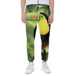 Keel-Billed Toucan Print Scuba Joggers