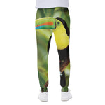 Keel-Billed Toucan Print Scuba Joggers