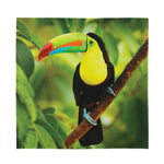 Keel-Billed Toucan Print Silk Bandana
