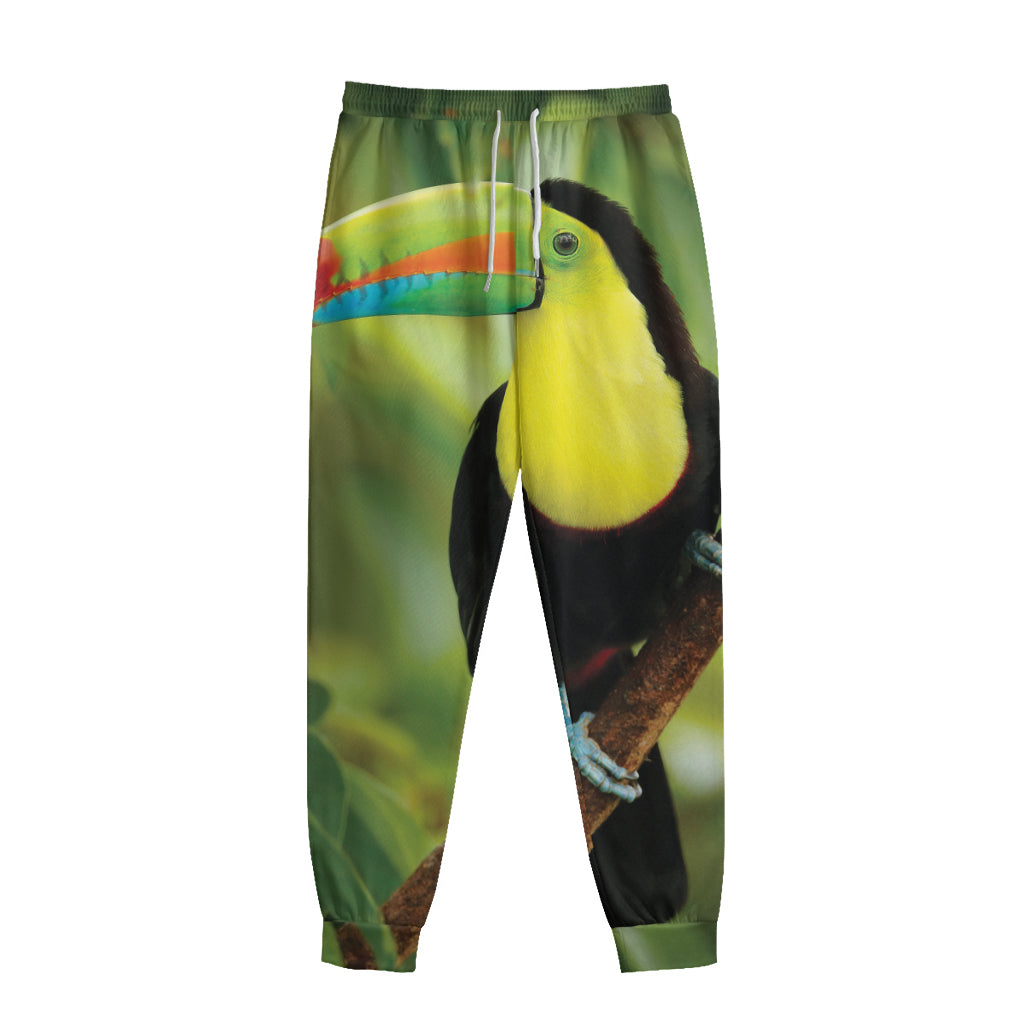 Keel-Billed Toucan Print Sweatpants