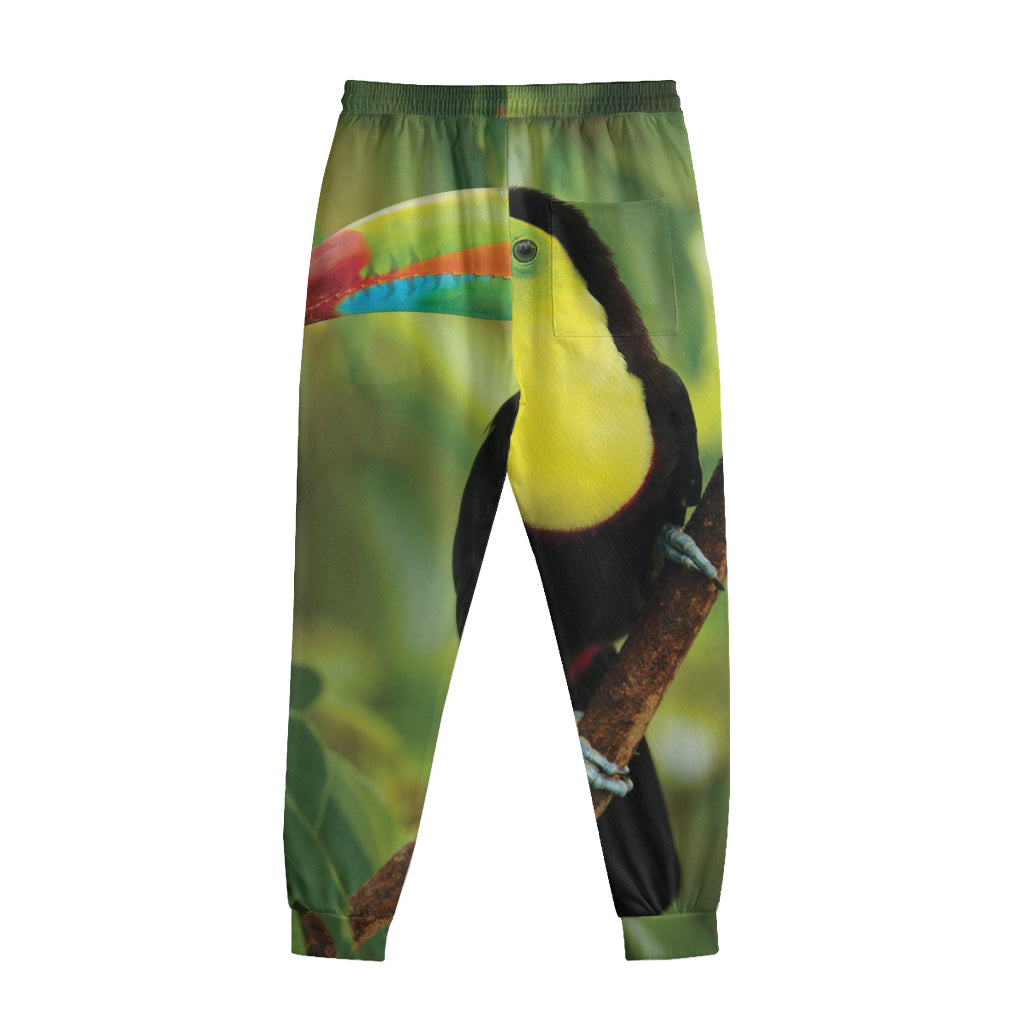 Keel-Billed Toucan Print Sweatpants