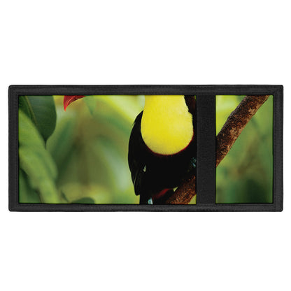 Keel-Billed Toucan Print Trifold Wallet
