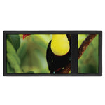 Keel-Billed Toucan Print Trifold Wallet