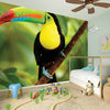 Keel-Billed Toucan Print Wall Sticker