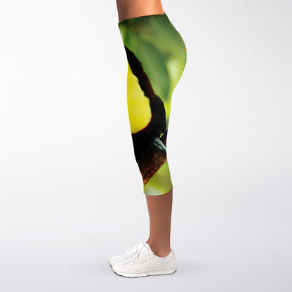 Keel-Billed Toucan Print Women's Capri Leggings