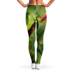 Keel-Billed Toucan Print Women's Leggings
