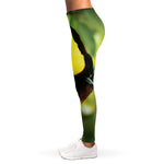 Keel-Billed Toucan Print Women's Leggings
