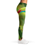Keel-Billed Toucan Print Women's Leggings