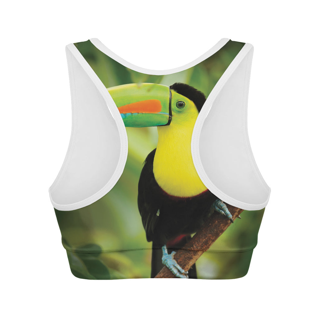 Keel-Billed Toucan Print Women's Sports Bra