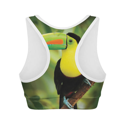 Keel-Billed Toucan Print Women's Sports Bra