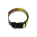 Kiwi 3D Print Dog Collar