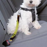 Kiwi 3D Print Dog Seat Belt