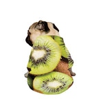 Kiwi 3D Print Dog Zip Up Jacket