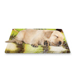 Kiwi 3D Print Pet Cooling Mat Cover