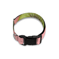 Kiwi Slices Pattern Print Dog Collar