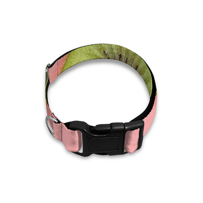 Kiwi Slices Pattern Print Dog Collar