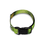 Kiwi Slices Print Dog Collar