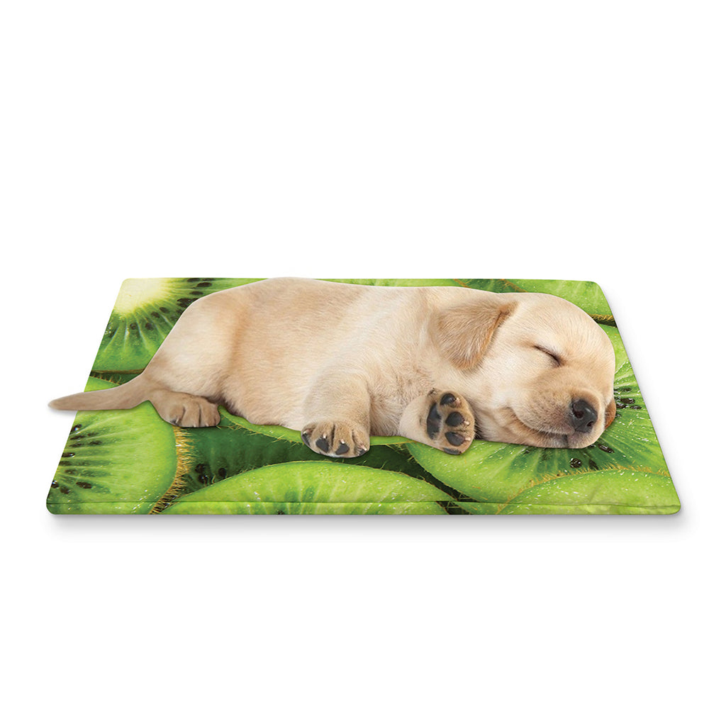 Kiwi Slices Print Pet Cooling Mat Cover