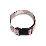 Koala Bear And Cloud Pattern Print Dog Collar