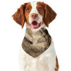 Labrador Retriever And Puppy Print Dog Bandana