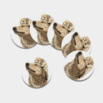 Labrador Retriever And Puppy Print Leather Coaster Set