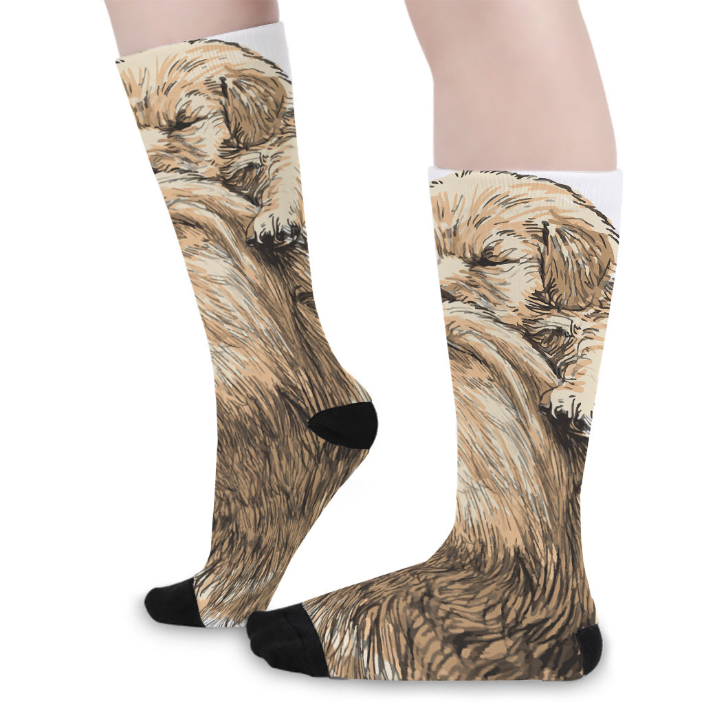 Labrador Retriever And Puppy Print Long Socks