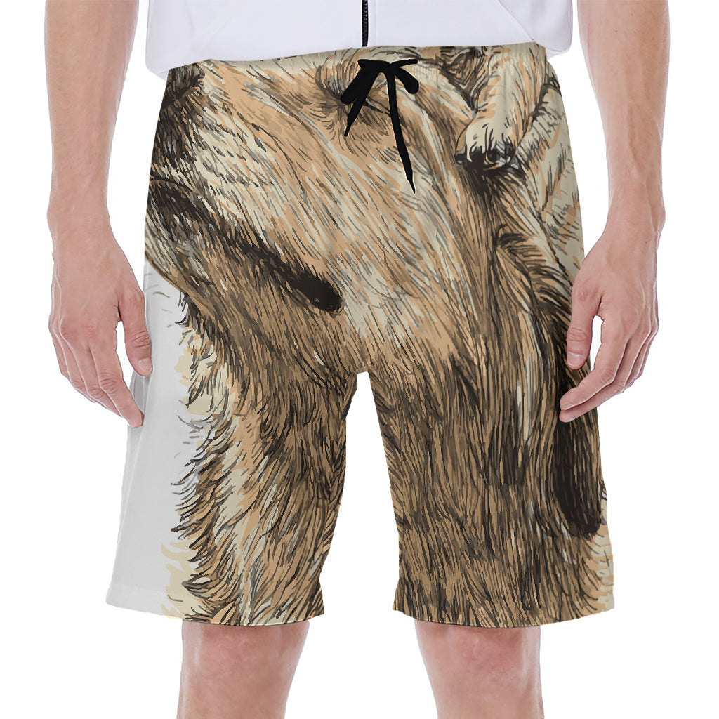 Labrador Retriever And Puppy Print Men's Beach Shorts