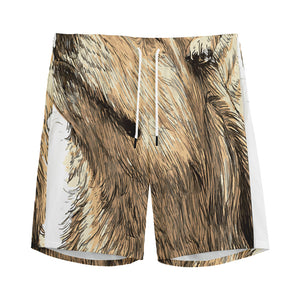 Labrador Retriever And Puppy Print Men's Sports Shorts