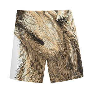 Labrador Retriever And Puppy Print Men's Sports Shorts