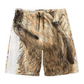 Labrador Retriever And Puppy Print Men's Swim Trunks