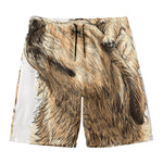 Labrador Retriever And Puppy Print Men's Swim Trunks