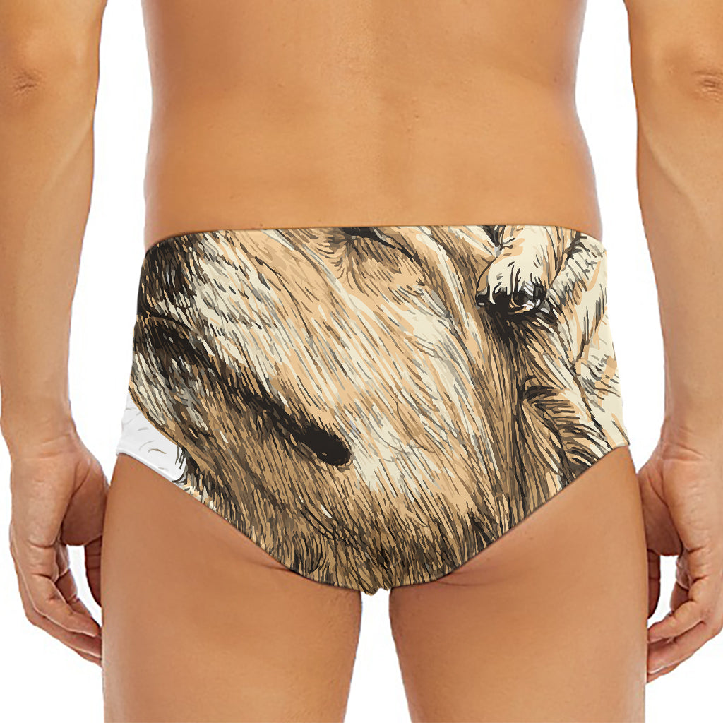 Labrador Retriever And Puppy Print Men's Triangle Swim Briefs