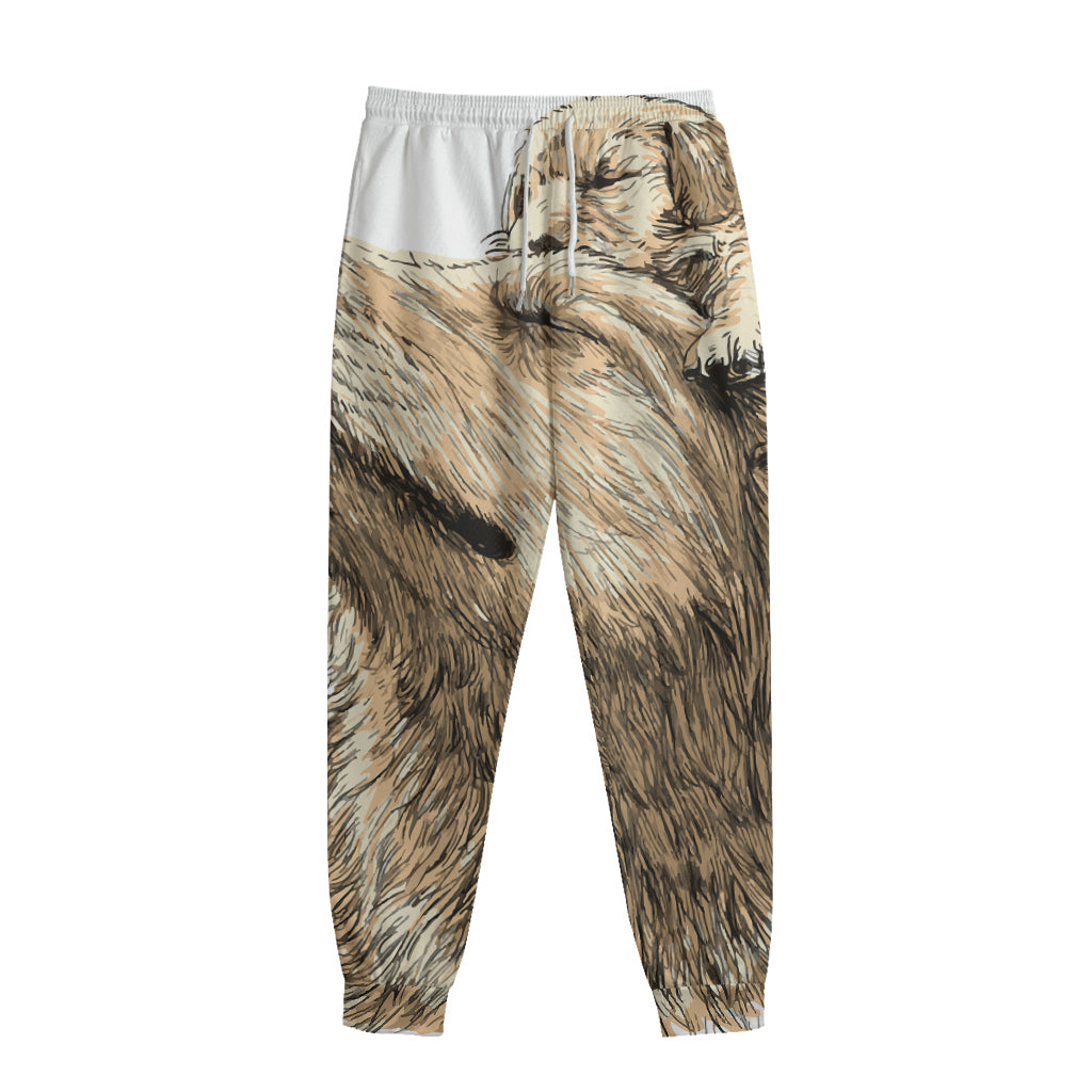 Labrador Retriever And Puppy Print Sweatpants