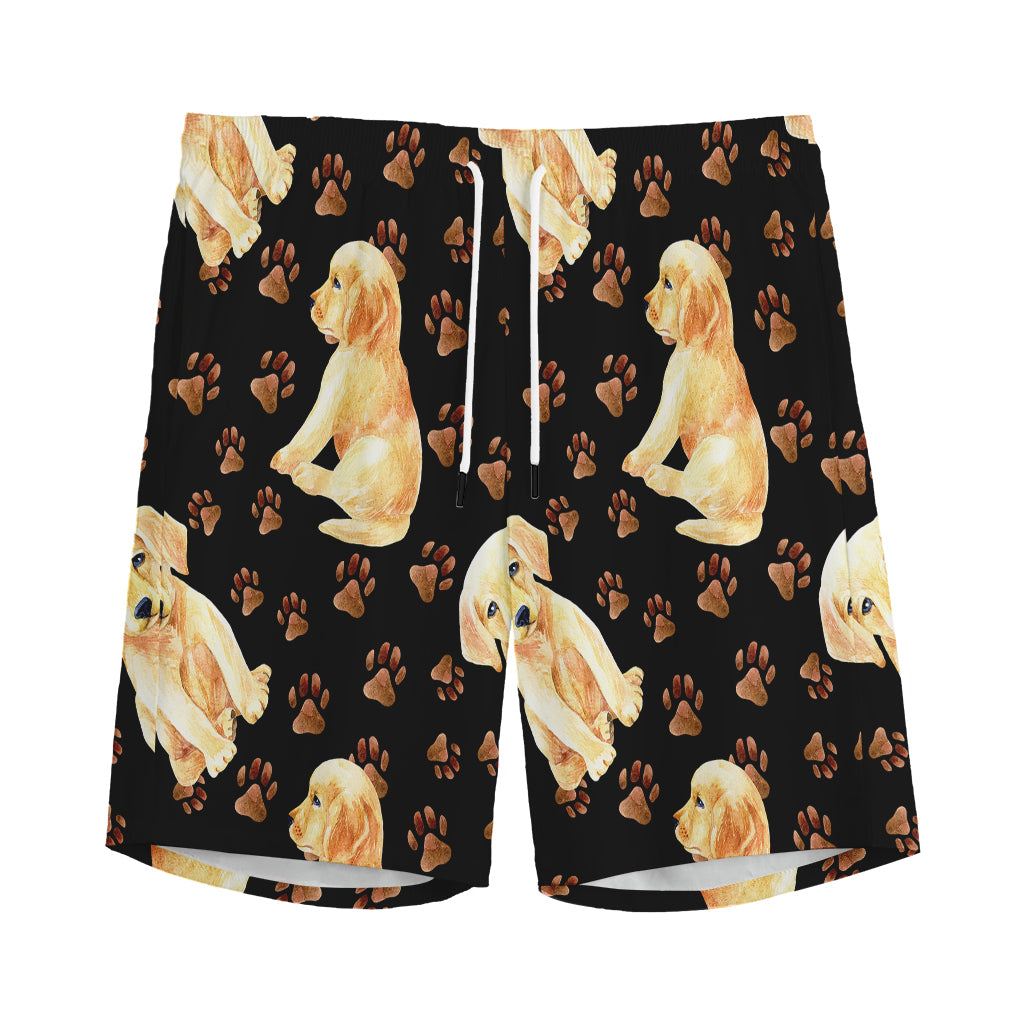 Labrador Retriever Puppy Pattern Print Men's Sports Shorts