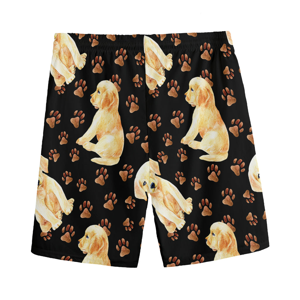 Labrador Retriever Puppy Pattern Print Men's Sports Shorts