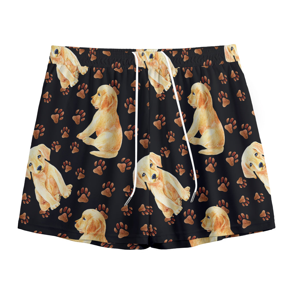 Labrador Retriever Puppy Pattern Print Mesh Shorts