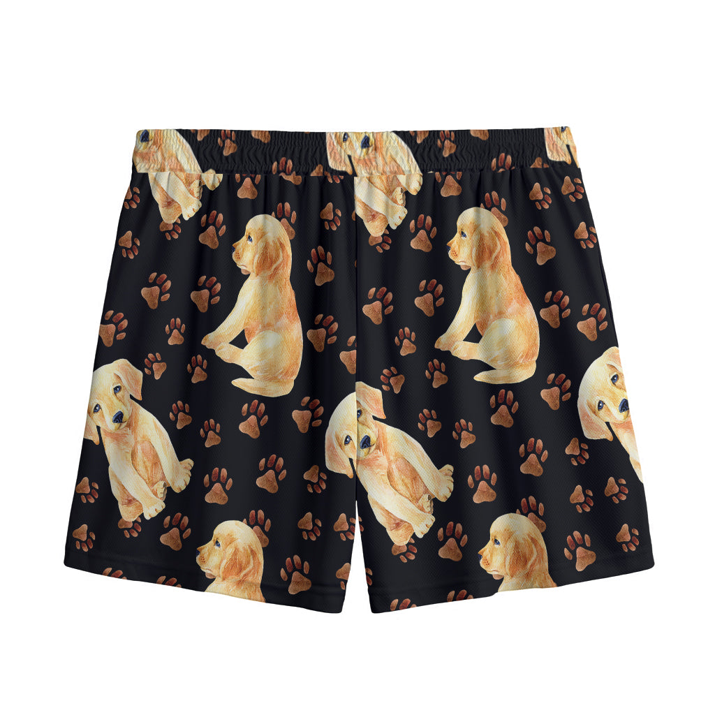 Labrador Retriever Puppy Pattern Print Mesh Shorts